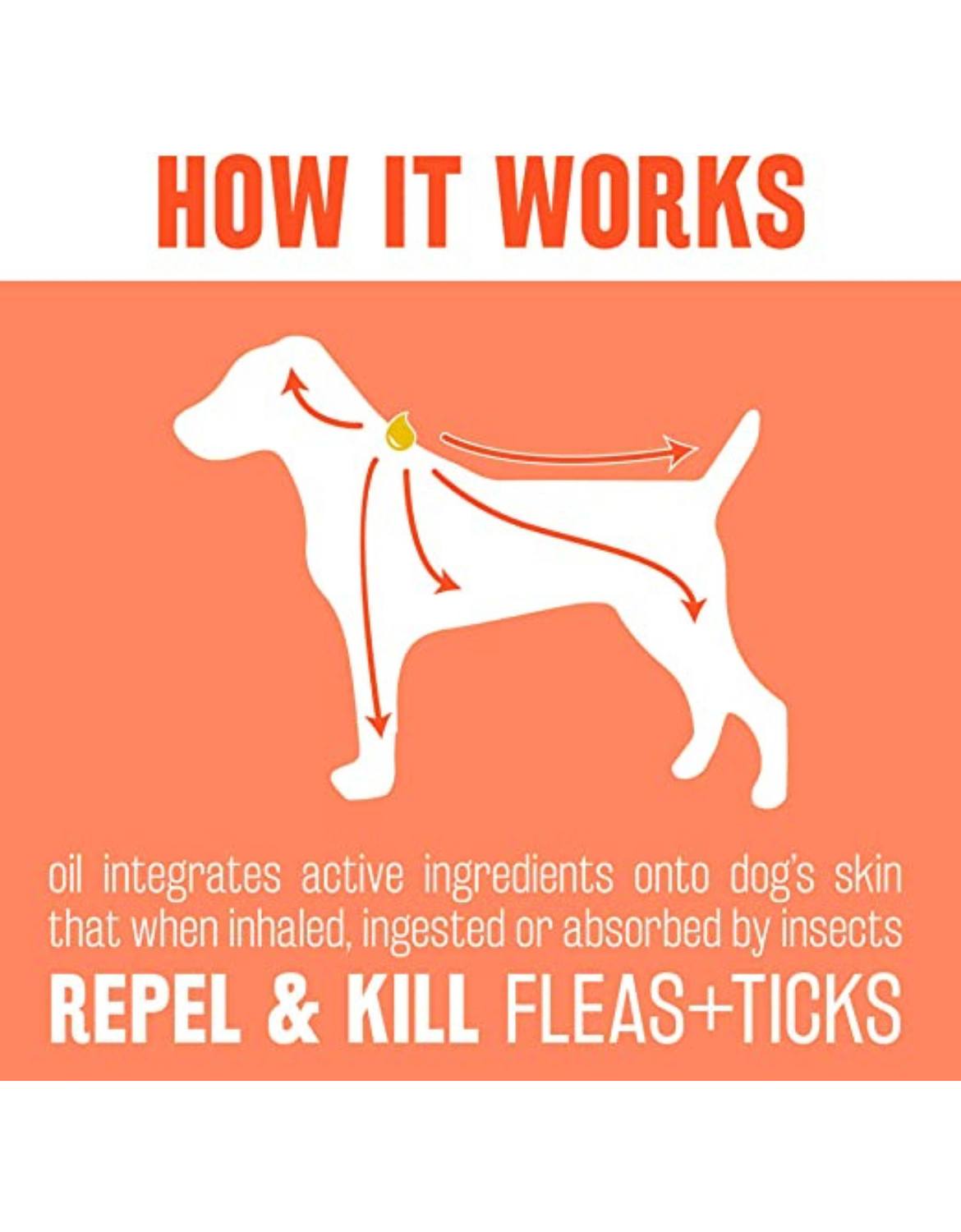 Tropiclean Natural Flea Tick Spot On Treatment For Medium Dogs 4pk Perromart Sg