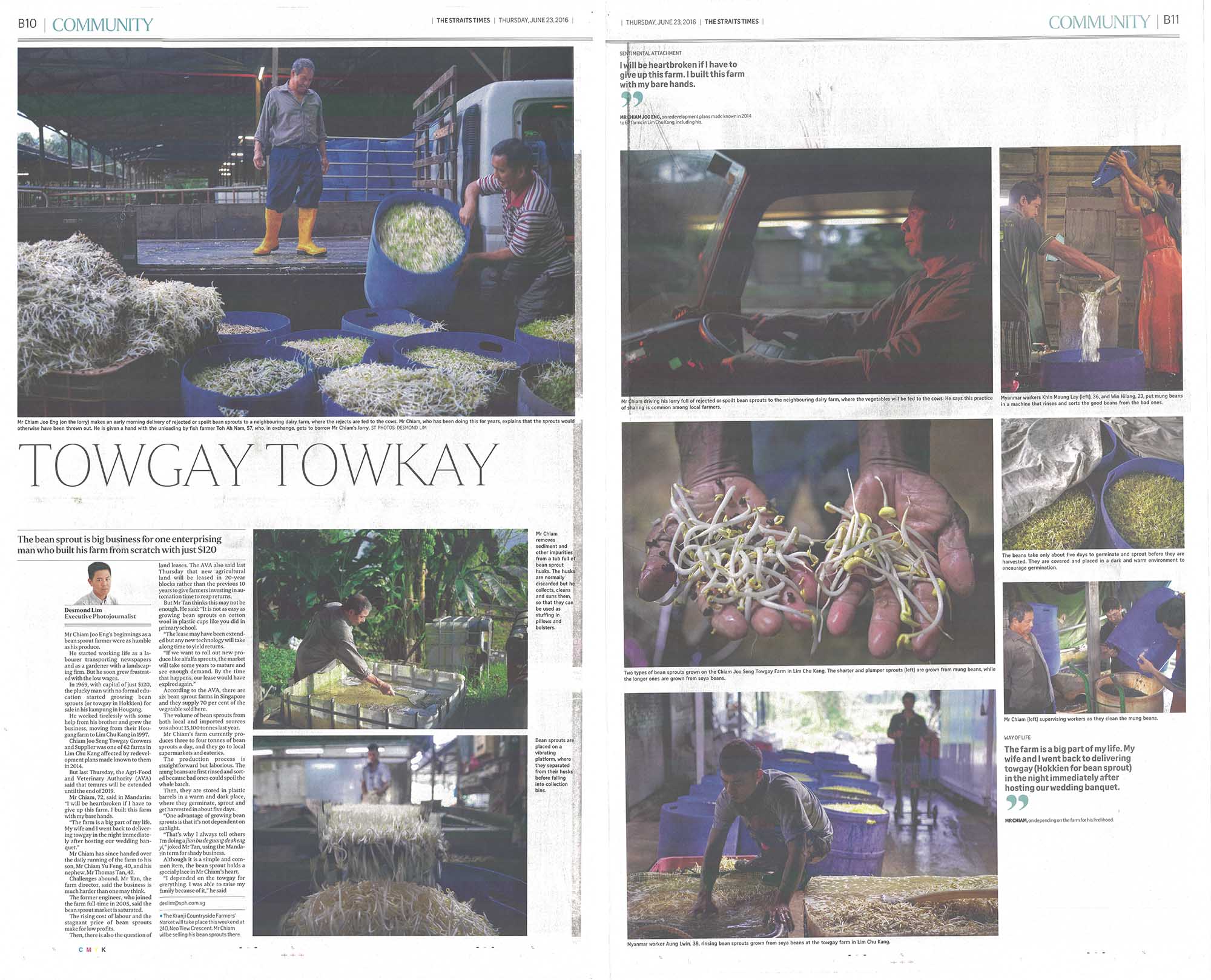 Our Story Le Husk Soothing Baby Husk Pillow