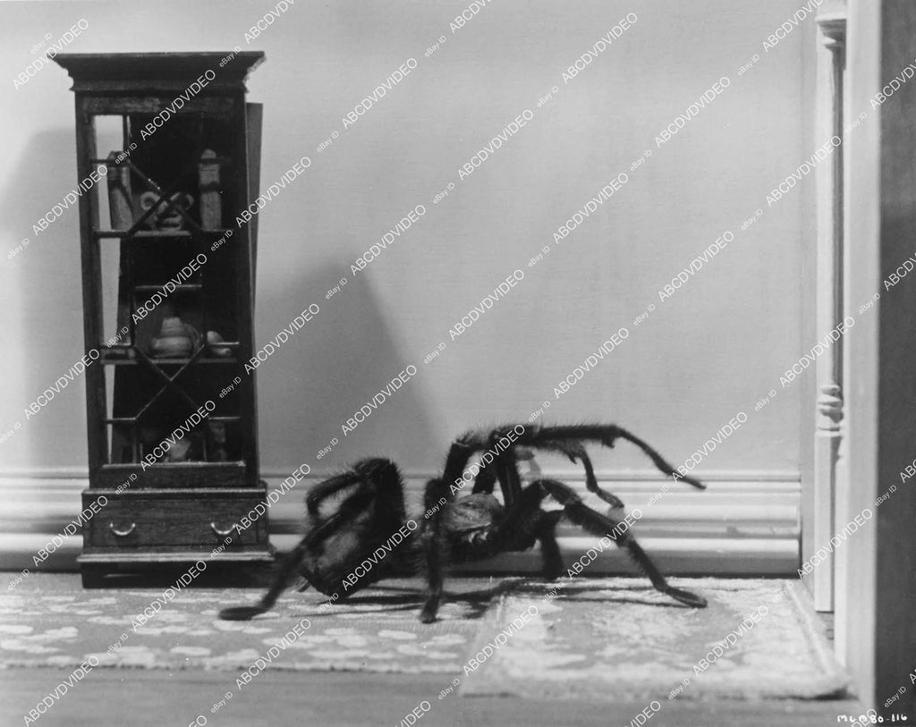 Crp 12806 1965 Giant Tarantula Special Fx Scene Film The Secret Of My Abcdvdvideo