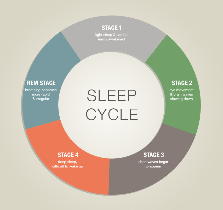Learn How To Sleep Better By Understanding Sleep Cycles Stages