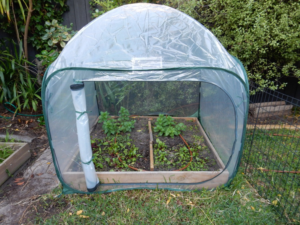 Maze Poly Greenhouse Pop Up Garden Cover 1250l X 1250w X 1200h Greenlife