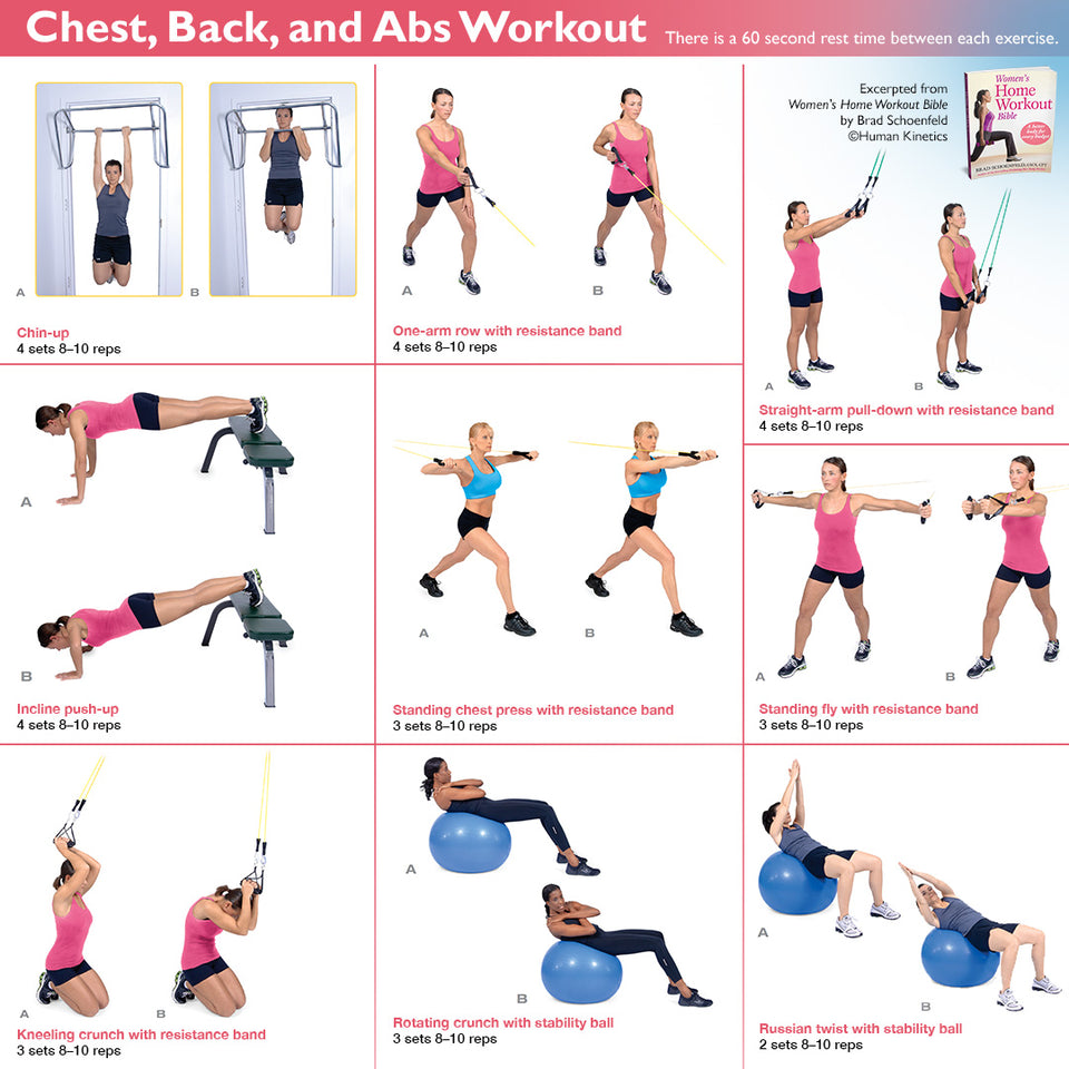 Chest Back And Abs Workout Human Kinetics Canada