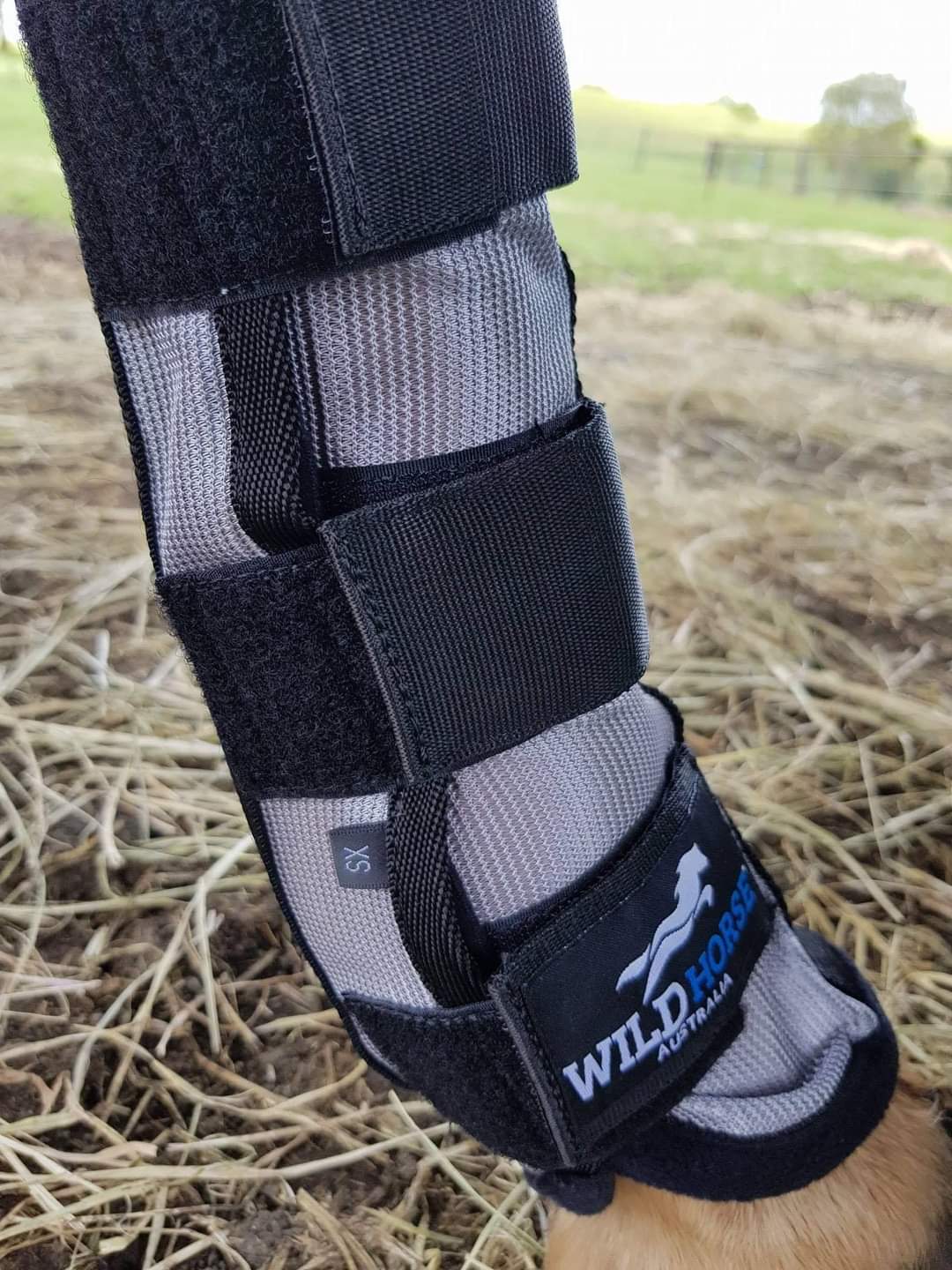 Wild Horse Protector Insect Boots Zenn Equine Hard As Nails Horse Rugs