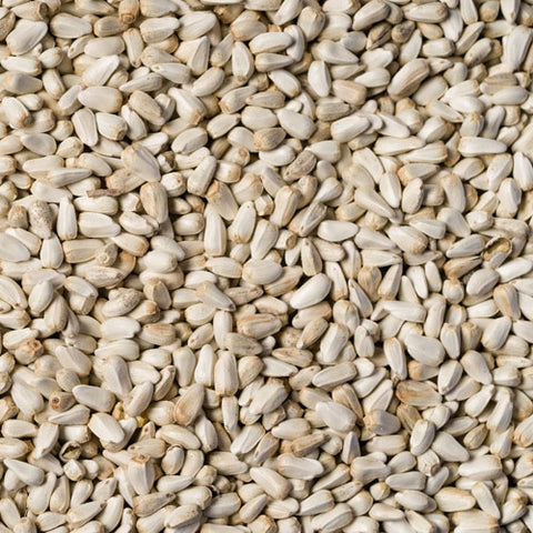Safflower Seed Wild Bird Store Online