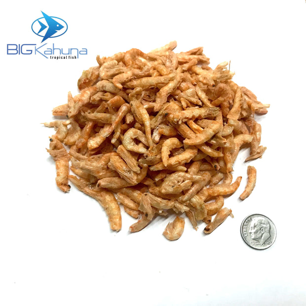 Food Freeze Dried Big Kahuna Tropical Fish