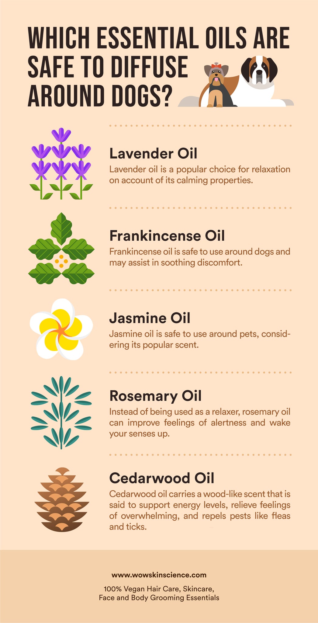 Essential Oils That Are Safe To Diffuse Around Dogs