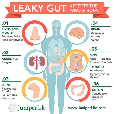 Leaky Gut Syndrome Its More Common Than You Think Juniperlife Com