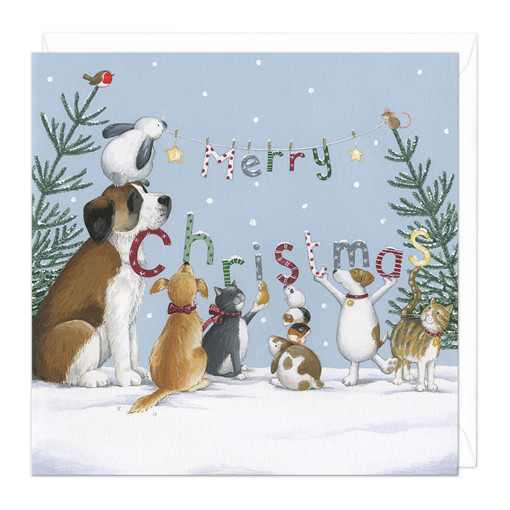 10 Facts About Battersea Dogs Cats Home Whistlefish