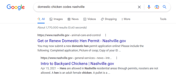 How to look up if you can have chickens