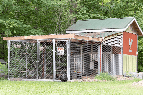 A chicken coop with an enclosure attached