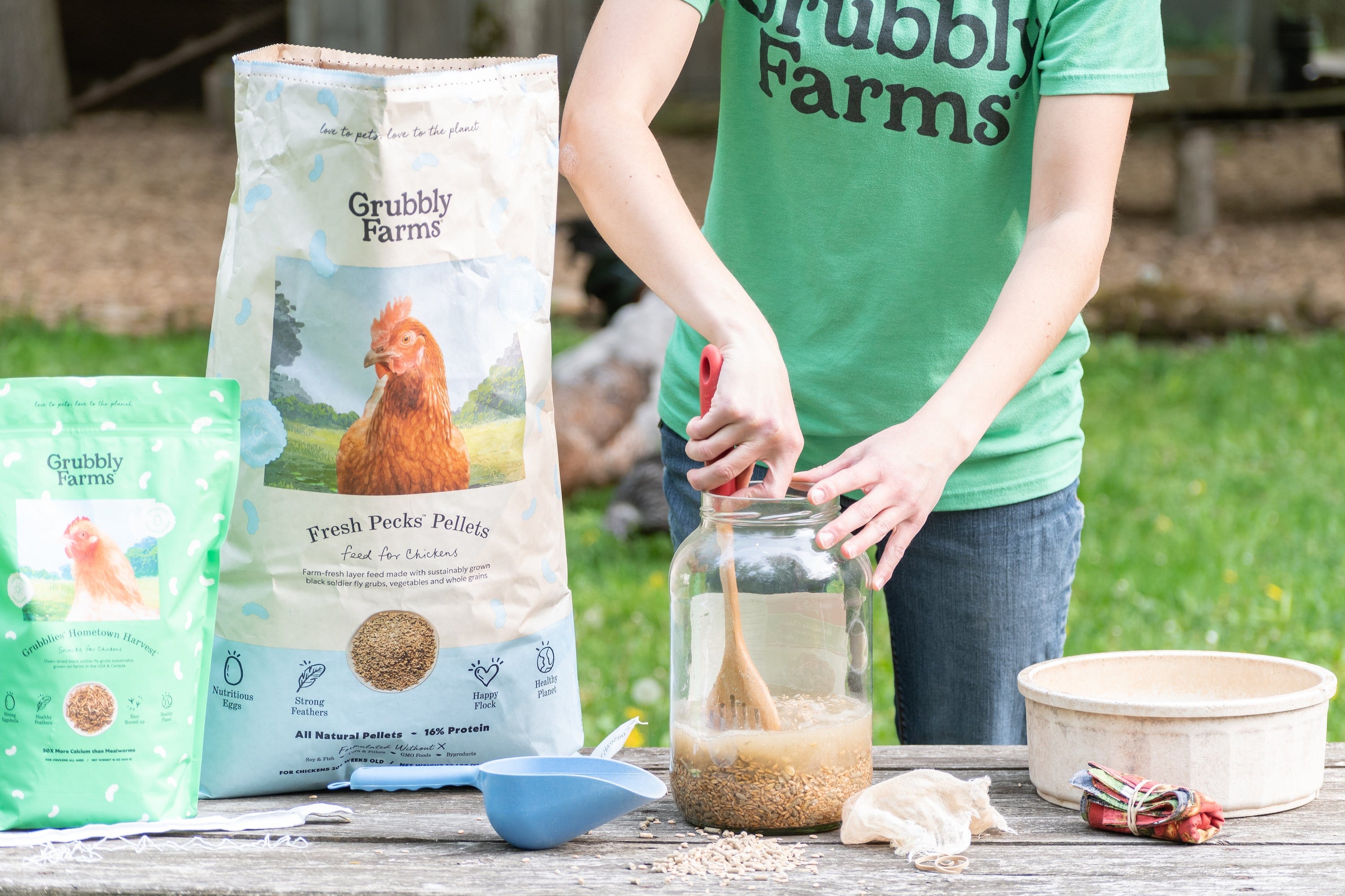 fermenting chicken feed