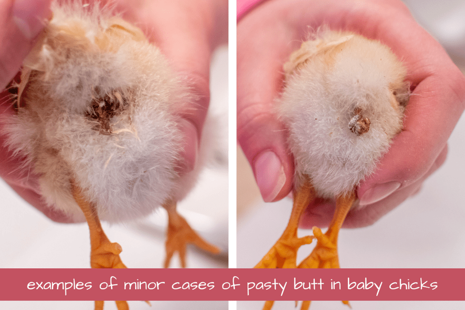 Two chicks with pasty butt as example of what pasty butt looks like