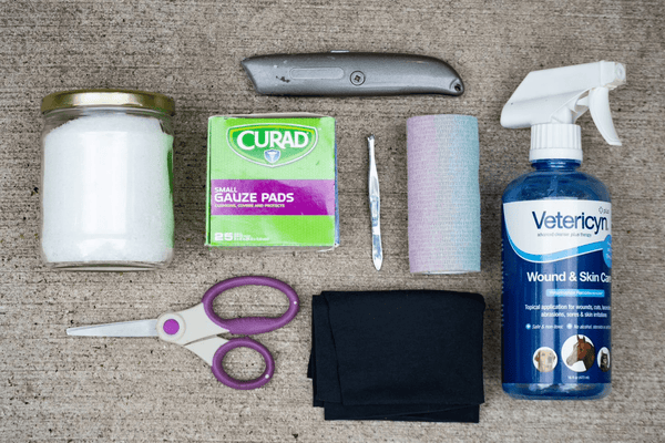 The materials needed for treating bumblefoot at home