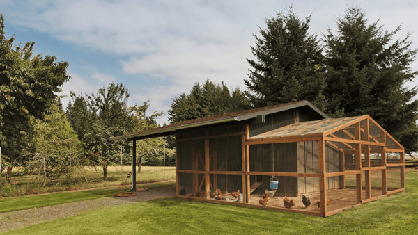 CHICKEN COOP AND RUN