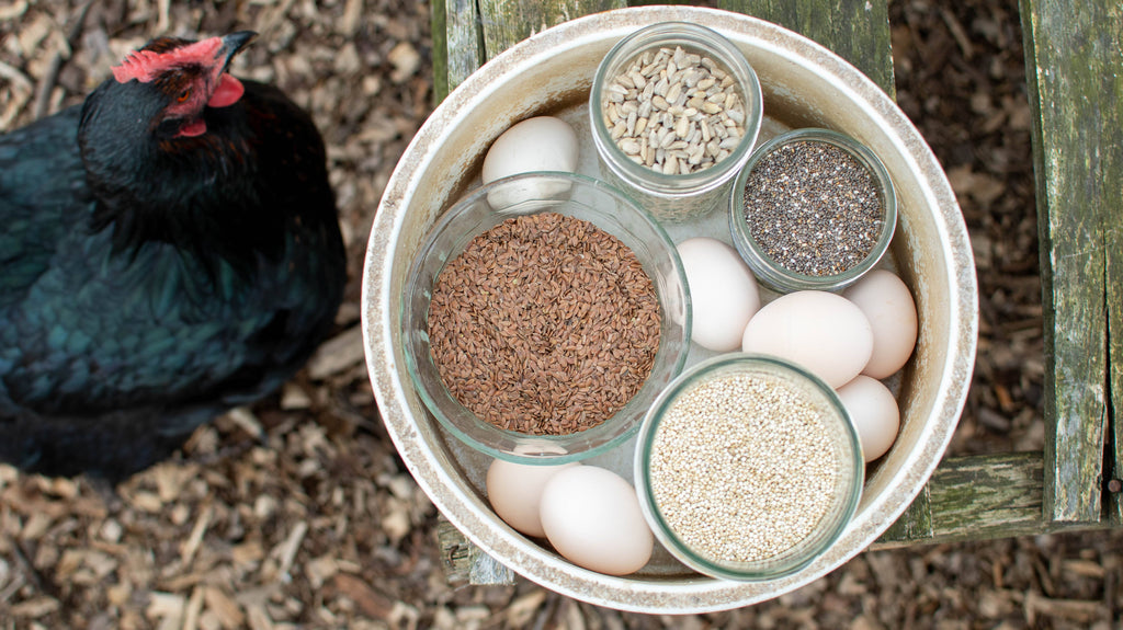 seeds in a bowl