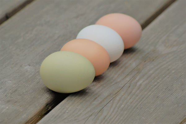different colored chicken eggs in a row