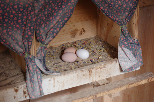 different colored eggs in a nesting box