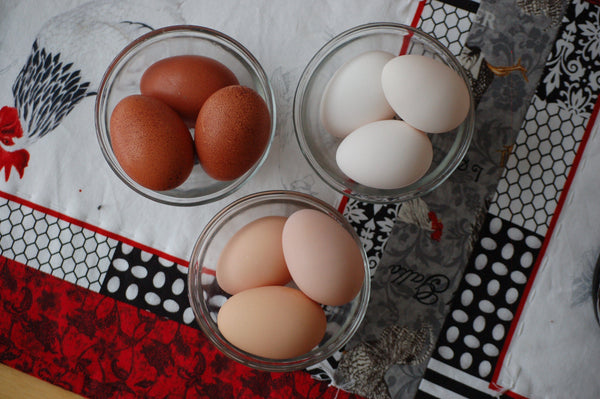 piles of differently colored chicken eggs