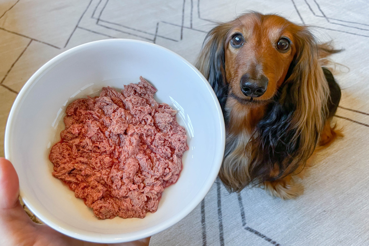 We Feed Raw Dog Food Review Our Experience With The Minimally Process Django