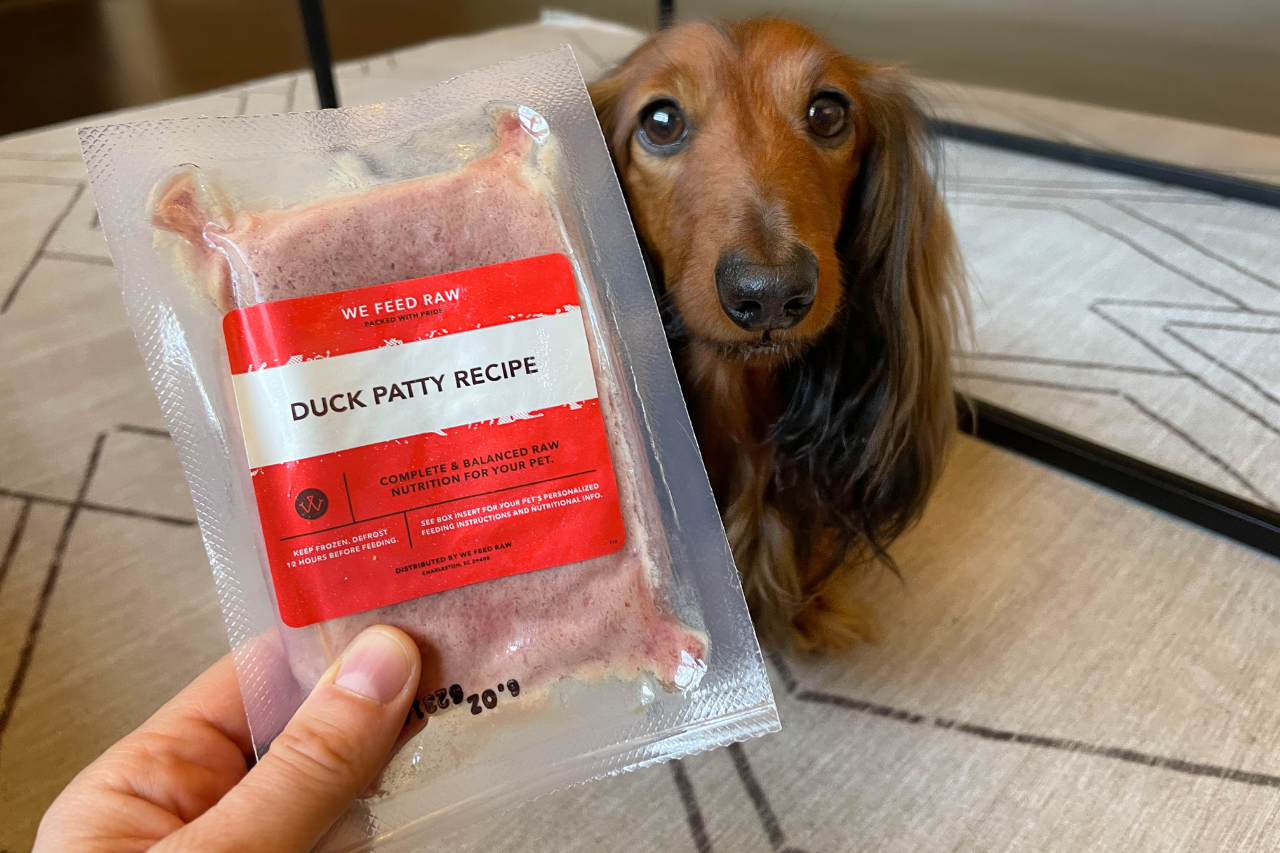 We Feed Raw Dog Food Review Our Experience With The Minimally Process Django