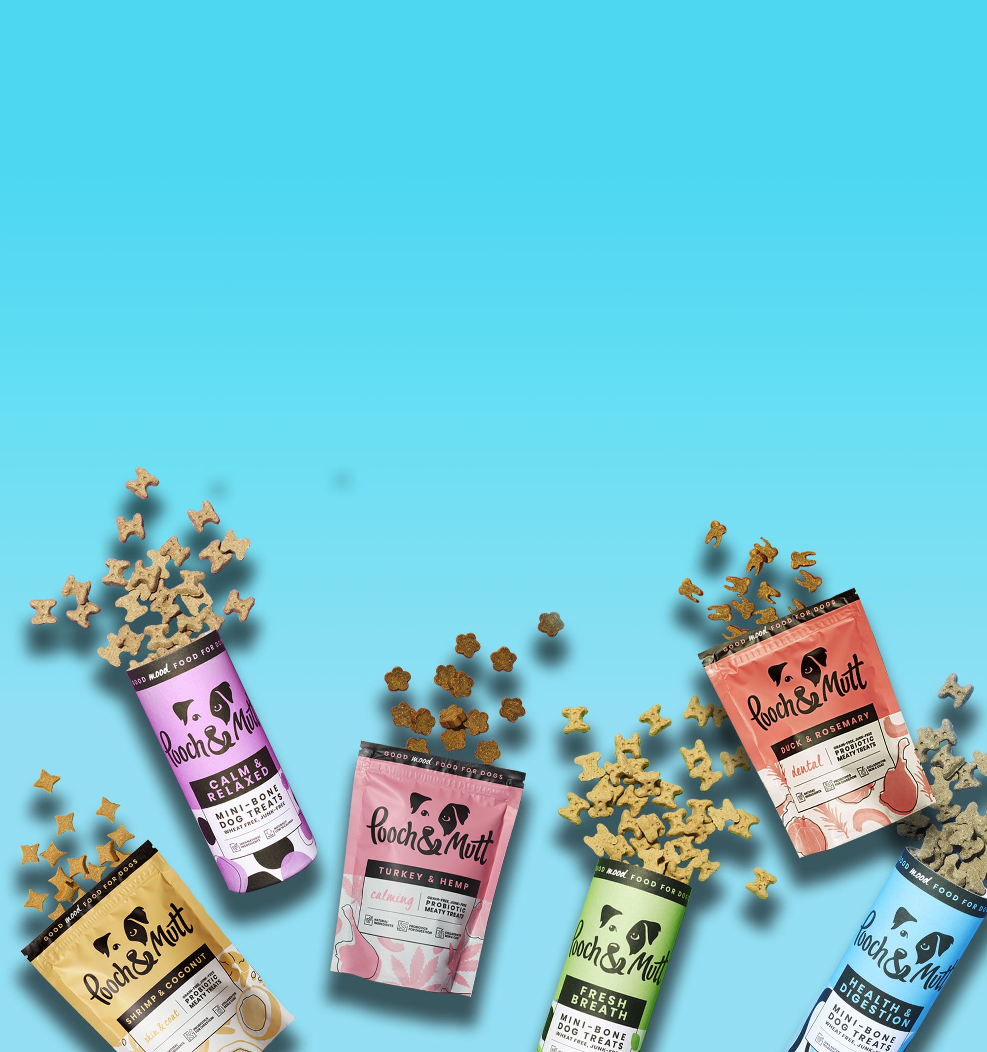 Healthy Dog Treats Natural Ingredients Pooch Mutt