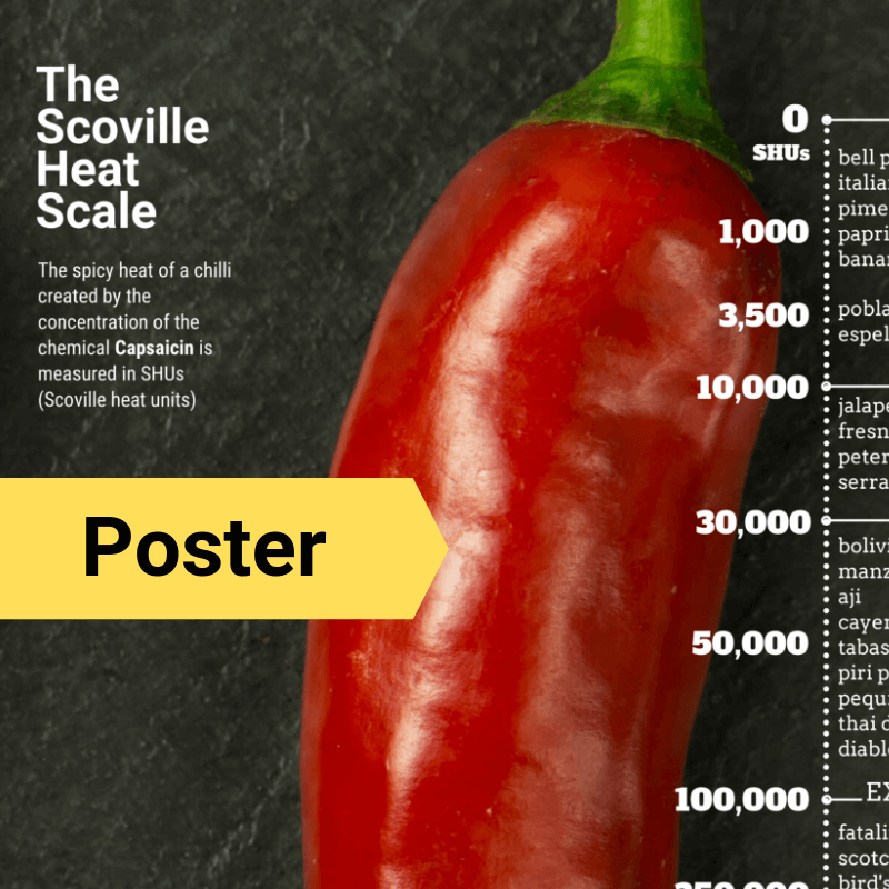 Scoville Scale A2 Glossy Poster Chillibom Hot Sauce Australia