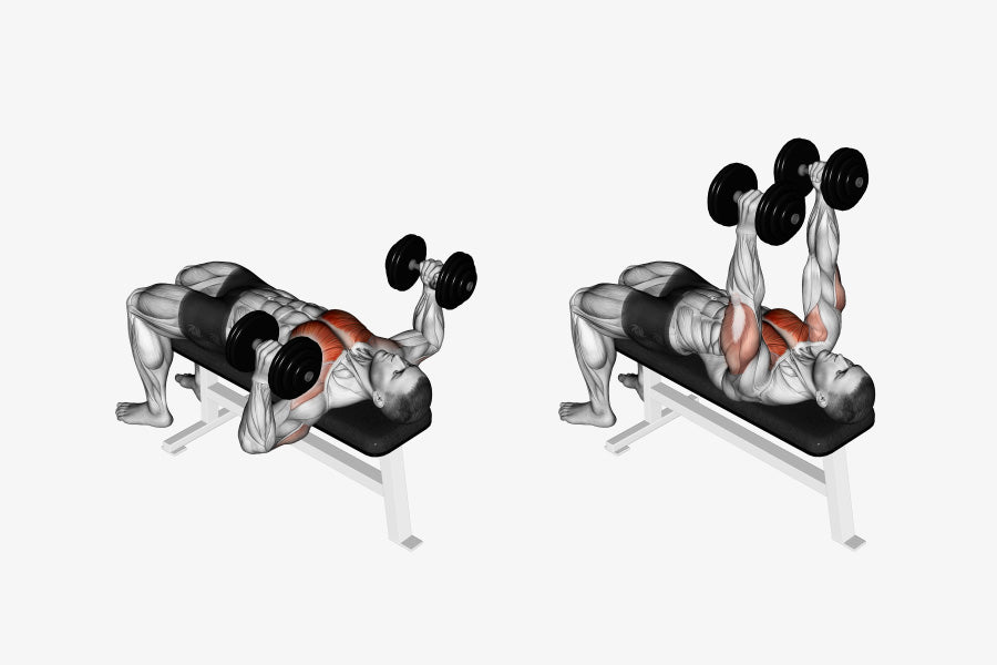 The Push Press Exercise How To Empower Your Body With Push Press Dmoose