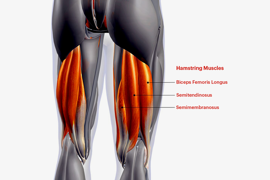 How To Do Stiff Legged Dumbbell Deadlifts A Complete Guide Dmoose