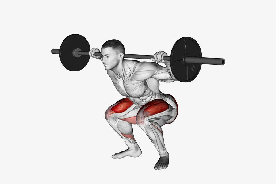 Back Squat Dmoose