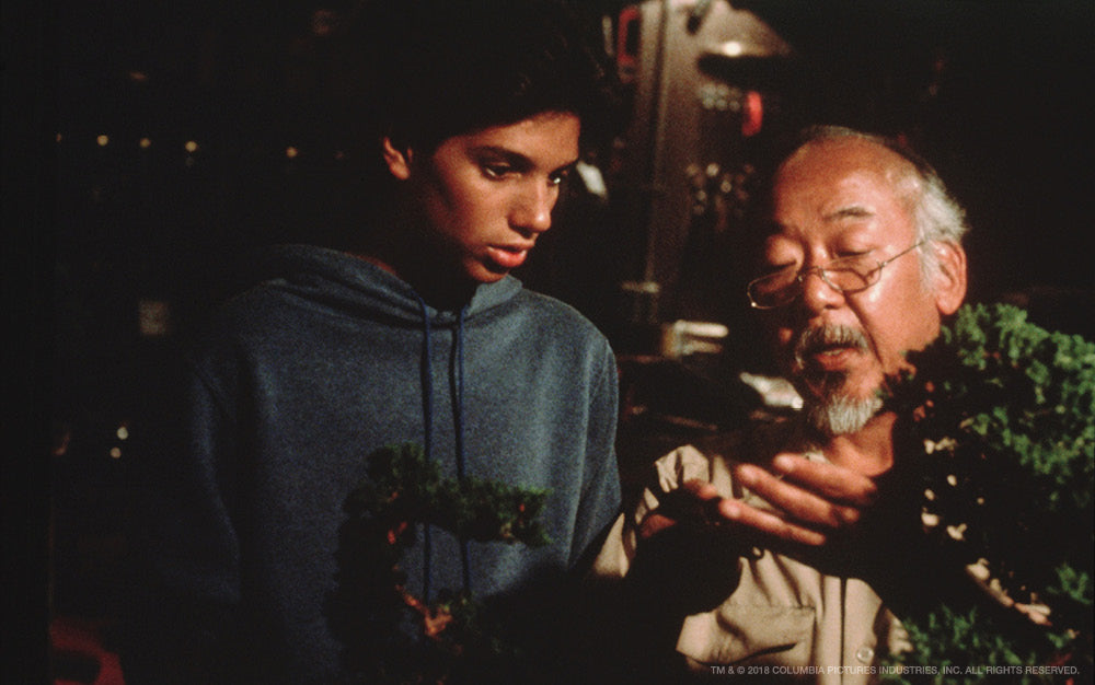 First Learn Stand Then Learn Fly 10 Wise Mr Miyagi Quotes To Live By The Hundreds