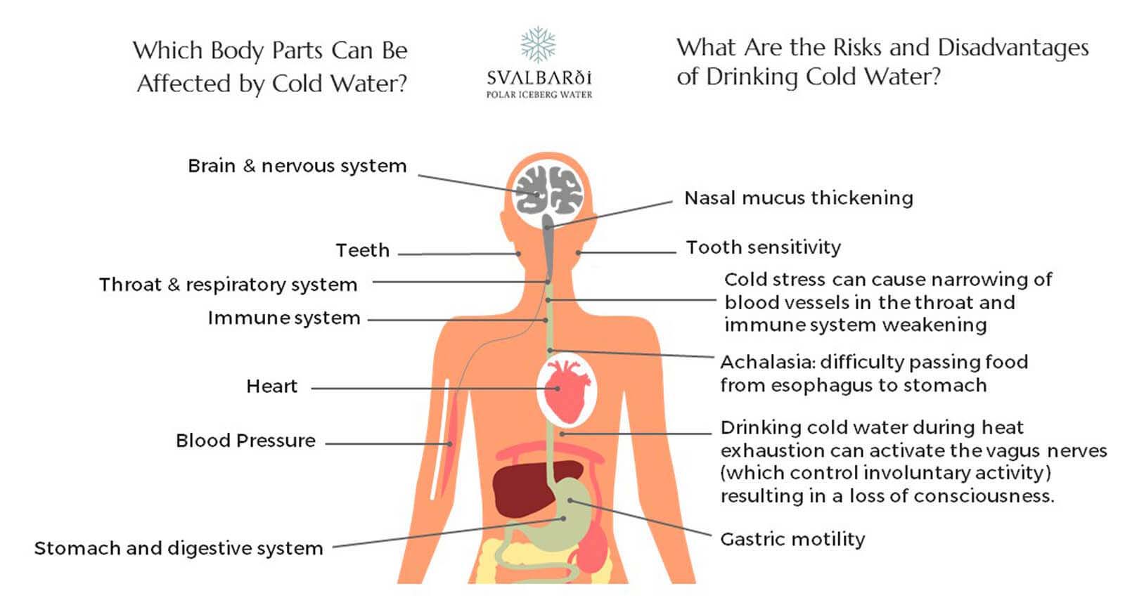 Is Drinking Cold Water Bad For You Risks And Benefits Svalbardi Polar Iceberg Water