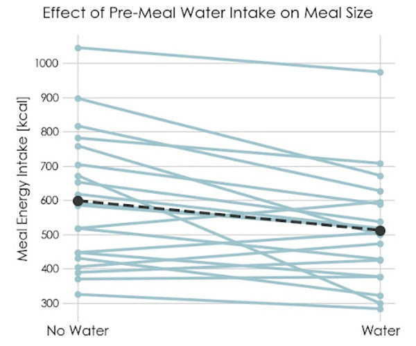 Is Drinking Cold Water Bad For You Risks And Benefits Svalbardi Polar Iceberg Water
