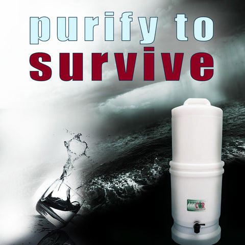 Purify To Survive Gary S Vitamin Closet
