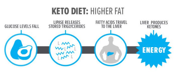 Keto Diet For Beginners Ground Based Nutrition