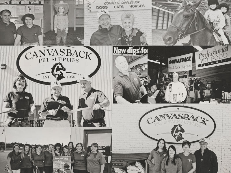 About Us Canvasbackpets