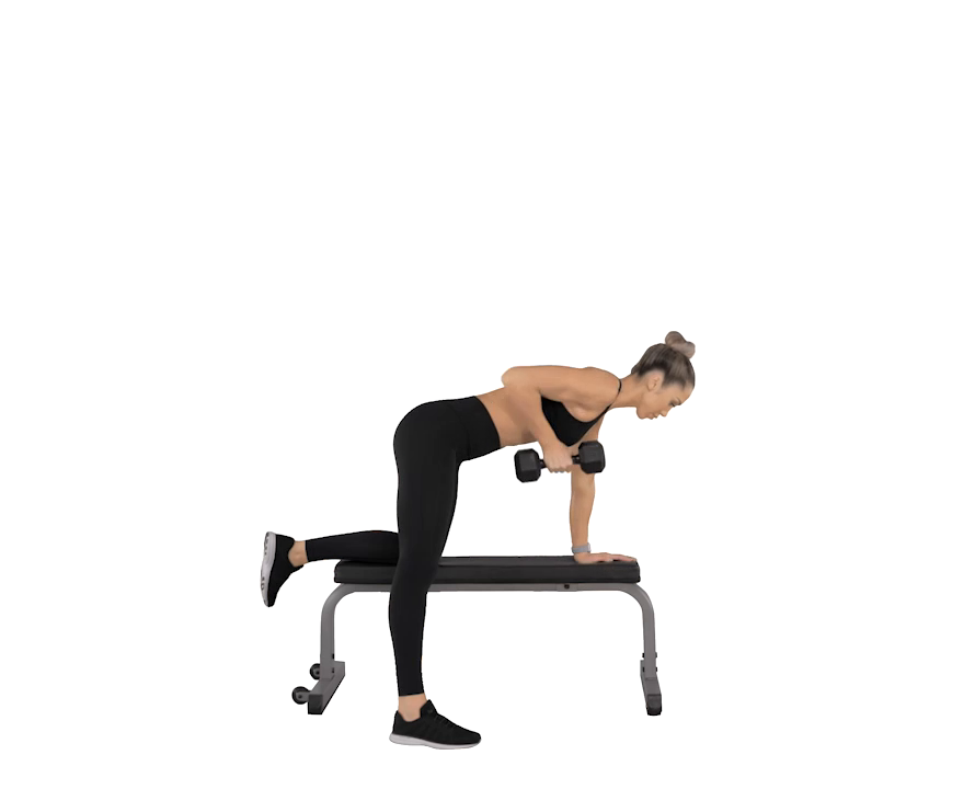 Dumbbell One Hand Row Flash Sales Get 55 Off Pselab Chem Polimi It