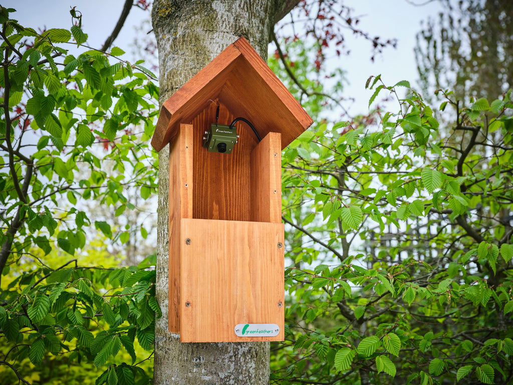 Wifi Bird Box Camera Wifi Nest Box Camera Green Feathers