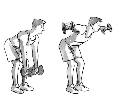 Best Gym Home Deltoid Exercises Includes Rear Delt Exercises Habit Nest