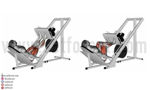 how to do leg press