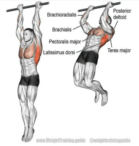 Pull Ups Vs Chin Ups Which Is Best Set For Set