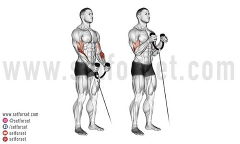 The Ultimate Arm Workout Set For Set