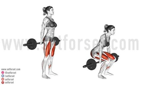 8 Best Hack Squat Alternatives To Work The Same Muscles Set For Set