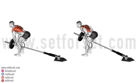 The Ultimate Back And Biceps Workout Set For Set