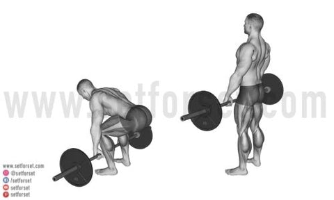 8 Best Barbell Back Exercises For Strength Mass Set For Set