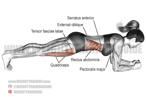 8 Compound Exercises Lifts Every Workout Plan Needs Set For Set