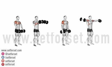 The 12 Best Dumbbell Arm Exercises To Build Muscle Set For Set