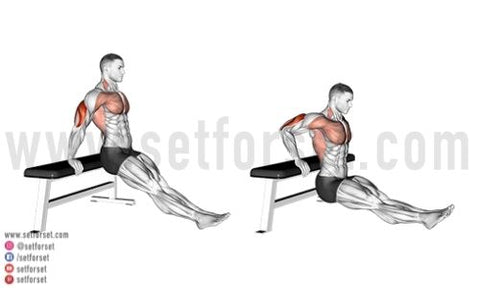 9 Best Lateral Head Tricep Exercises Set For Set