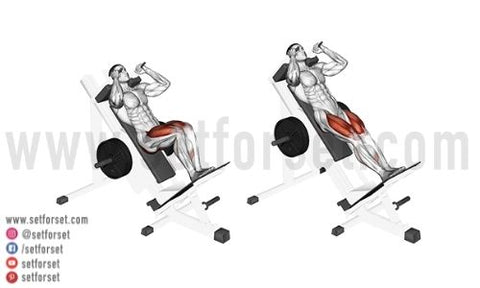 The Ultimate Leg Workout For Size Strength Set For Set