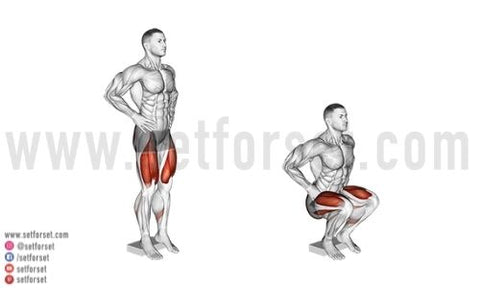 5 Best Leg Extension Alternatives For Muscular Quads Set For Set