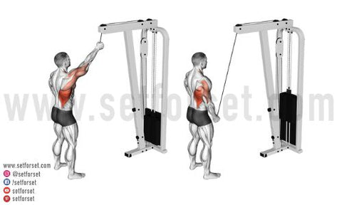 Straight Arm Pulldown Proper Form Muscles Used Variations Set For Set